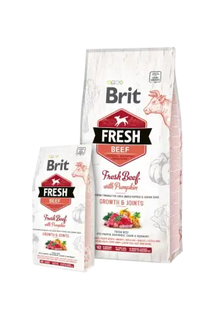 Express Levering Brit Fresh Beef with Pumpkin Puppy Large 12 kg