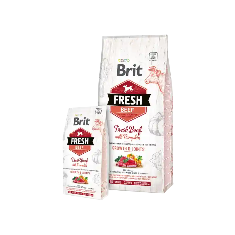 Express Levering Brit Fresh Beef with Pumpkin Puppy Large 12 kg