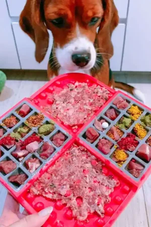 LickiMat Slomo Likmat voor Honden - Rood Veilige Betaling
