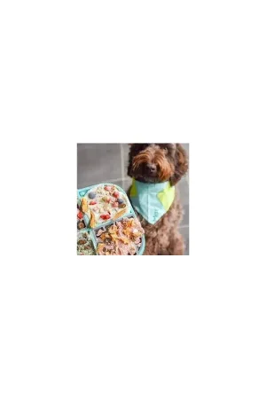 Tijdelijk Beschikbaar LickiMat Slomo Likmat voor Honden - Blauw