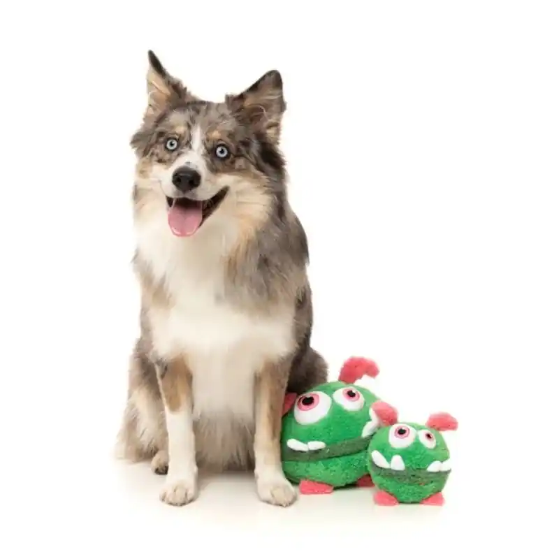 FuzzYard PeeWee Green S 14cm Alleen Vandaag