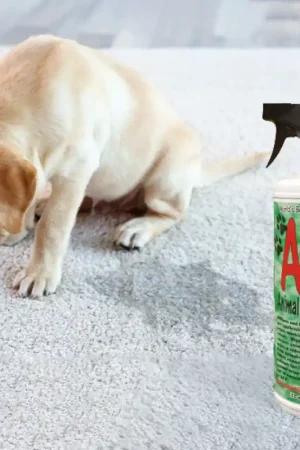 Beperkte Voorraad AUF Animal Urine Formula Spray 946 ml