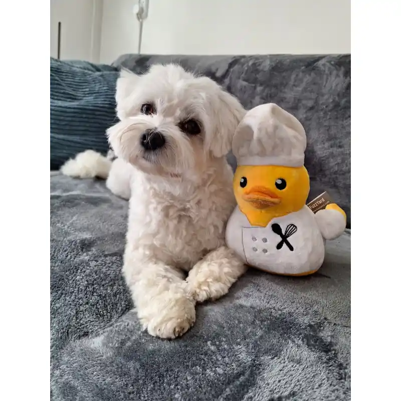 FuzzYard Quackson Five - Gordon Quacksay Fabrieksprijs
