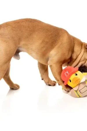 Favoriet FuzzYard Quackson Five - FireQuacker