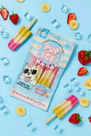 Pup Ice Honden Fruitlollie - Raket - Yoghurt, Aardbei & Banaan Express Levering