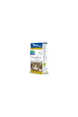 Finale Uitverkoop Bach Bloesem Angst 20 ml