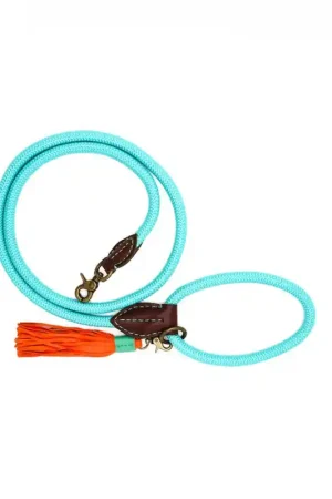 Snelle Levering Dog With A Mission Hondenriem Turquoise L