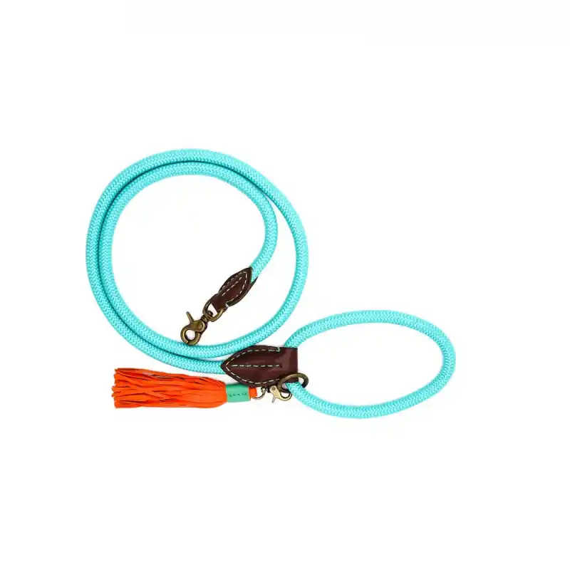 Snelle Levering Dog With A Mission Hondenriem Turquoise L