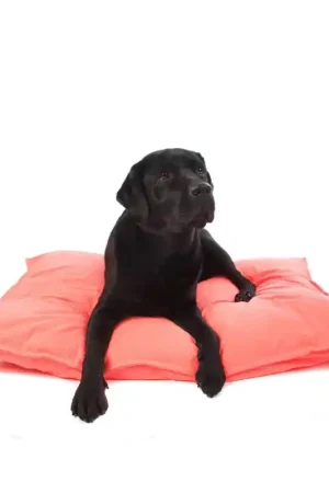 Uitverkoop Lex & Max Ligkussen Tivoli Fluor Roze 100 x 70 cm