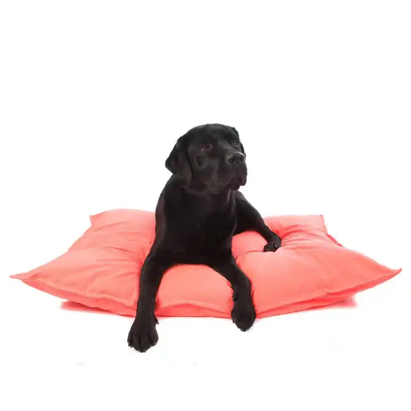 Uitverkoop Lex & Max Ligkussen Tivoli Fluor Roze 100 x 70 cm