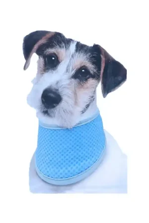 Kowloon Cool Bandana Blauw S 28-40CM Dagaanbieding