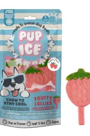 Pup Ice Honden Fruitlollie - Aardbei Premium