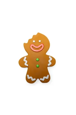 Op = Op Beeztees hondenspeelgoed kerst Gingerbread 20 cm