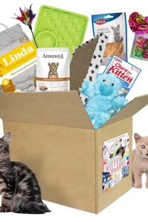 Betaalbaar Avonturia‘s Kitten Pakket