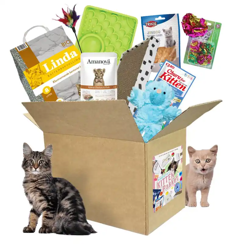 Betaalbaar Avonturia‘s Kitten Pakket