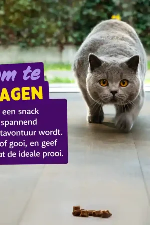 Edgard & Cooper Kattensnack Rolls Zalm Fabrieksprijs