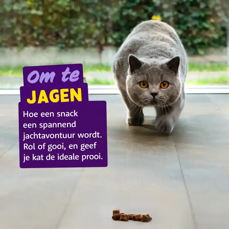 Edgard & Cooper Kattensnack Rolls Zalm Fabrieksprijs