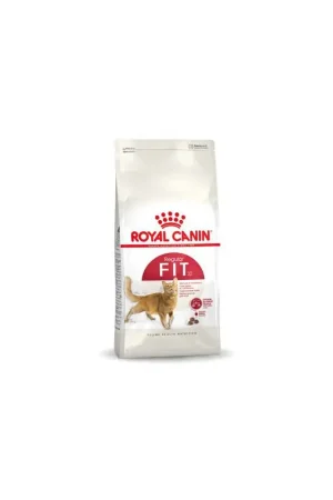 Hoge Kwaliteit Royal Canin Fit 32 400 gram