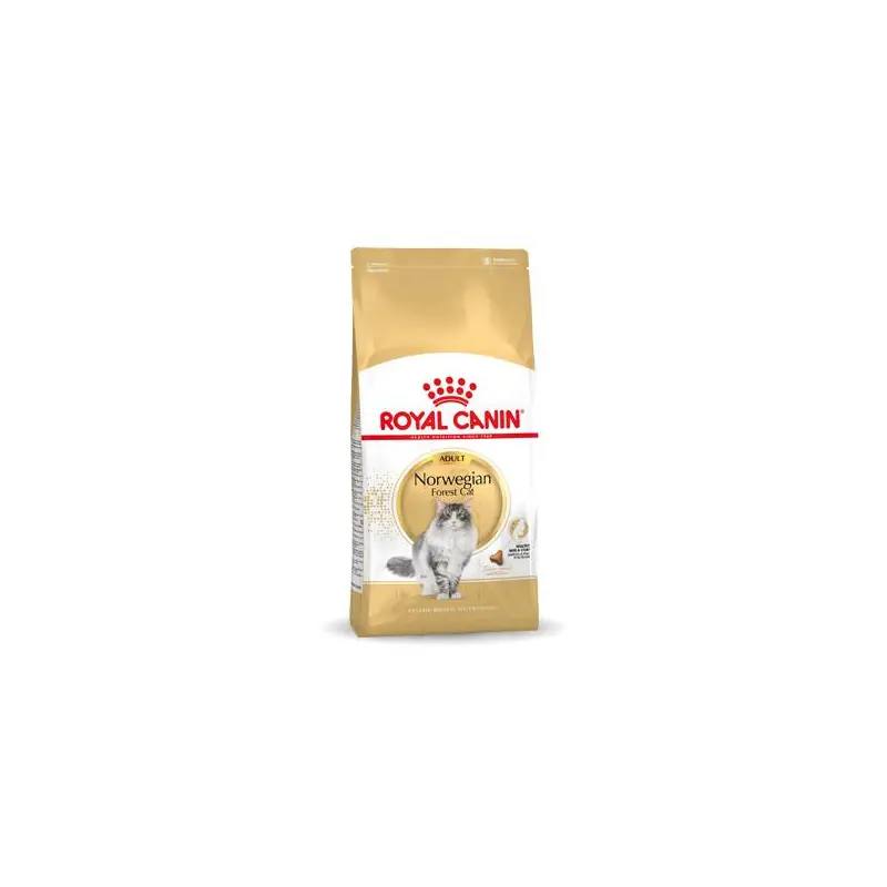 Royal Canin Norwegian Forest Cat Adult 10 kg Finale Uitverkoop