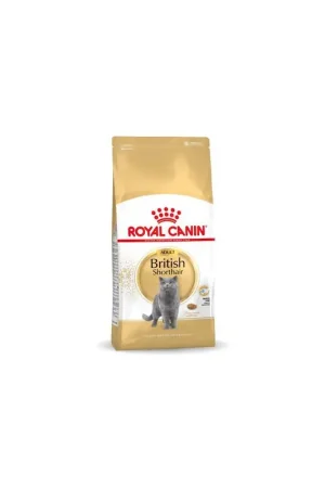 Direct Verzonden Royal Canin British Shorthair Adult 10 kg