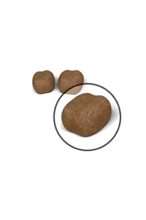 Royal Canin Dental Care 400 gram Premium