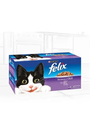 Beperkte Voorraad Felix Mixed Selection Box 44 x 85 gram