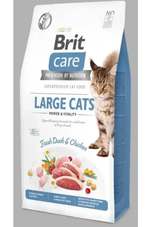 Brit Care Large Cats Power & Vitality 7 kg Aanbieding