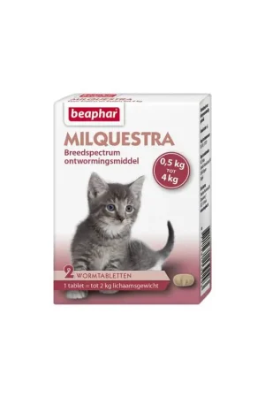 Express Levering Beaphar Milquestra kat klein / kitten (0,5 - 4kg) 2 stuks