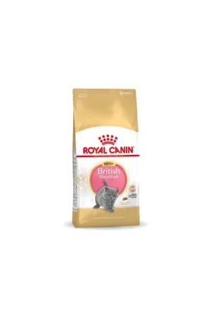 Lage Prijs Royal Canin British Shorthair Kitten 10 kg
