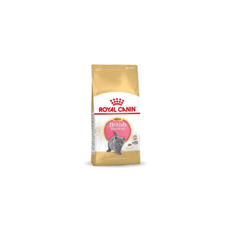 Lage Prijs Royal Canin British Shorthair Kitten 10 kg