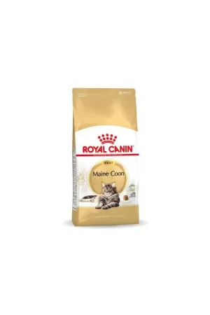 Rechtstreeks Van De Fabrikant Royal Canin Maine Coon Adult 10 kg