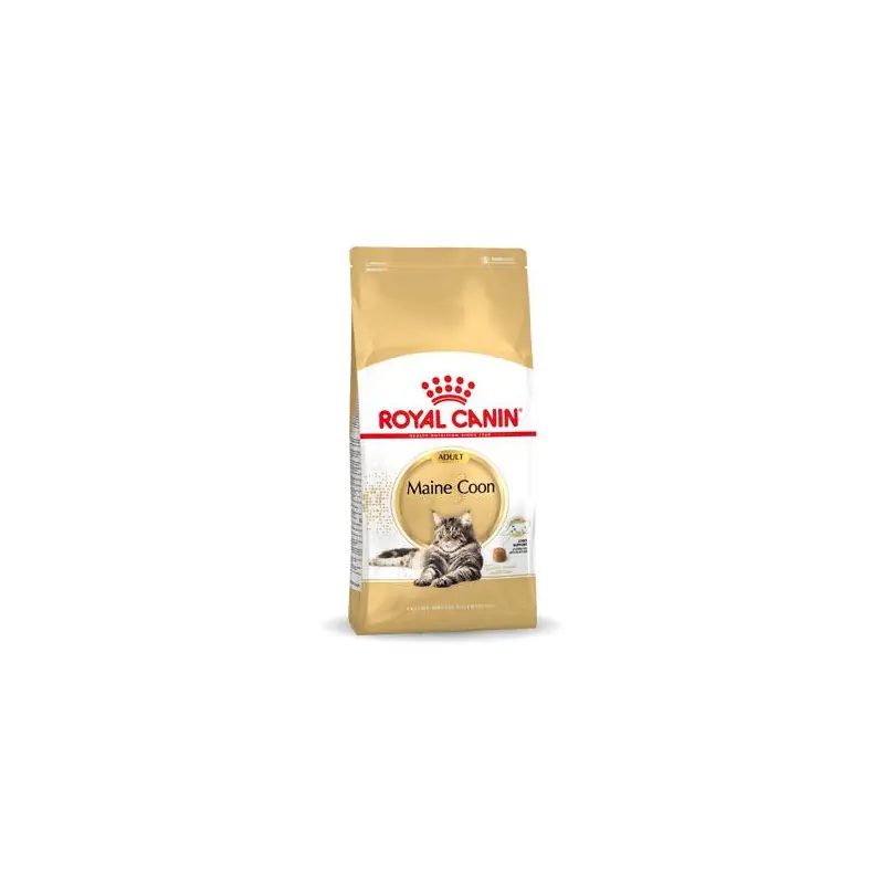 Rechtstreeks Van De Fabrikant Royal Canin Maine Coon Adult 10 kg