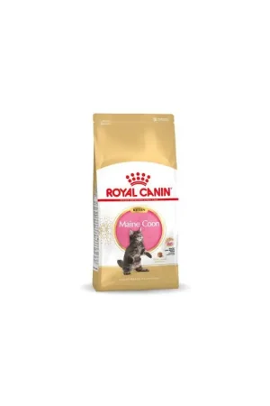 Royal Canin Maine Coon Kitten 36 400 gram Goedkoop