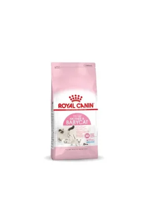 Royal Canin Mother en Babycat 400 gram Hete Deal