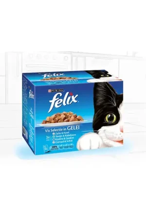 Felix Pouch Seaside 12 x 85 gram Snelle Levering