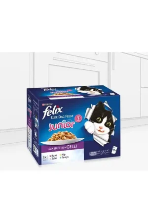 Felix Pouch Elke Dag Feest Kitten 12 x 85 gram Koop Vandaag