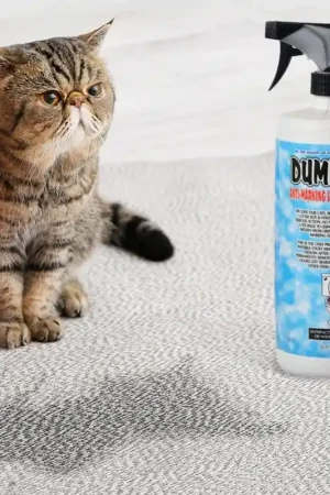 Express Levering Dumb Cat Anti-Marking & Cat Spray Remover