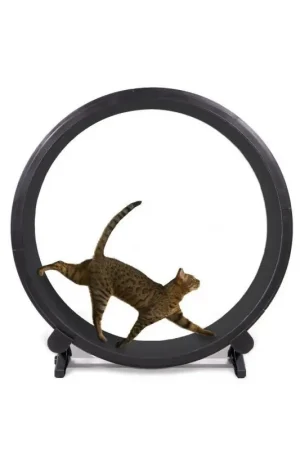 Petlux Loopwiel voor Katten Zwart Voordeelprijs