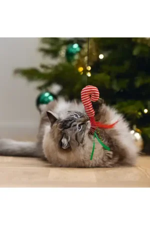 Beste Prijs Beeztees Kattenhengel Zuurstok