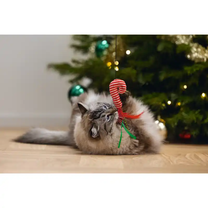 Beste Prijs Beeztees Kattenhengel Zuurstok