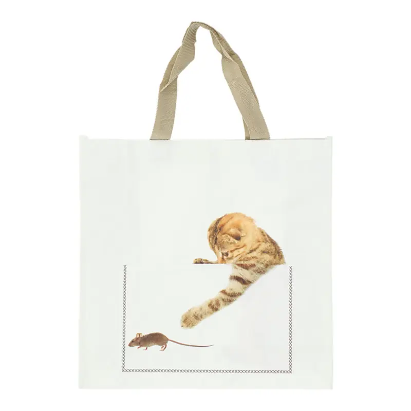 Avontuurlijke BIG Shopper Kat en Muis Veilige Betaling