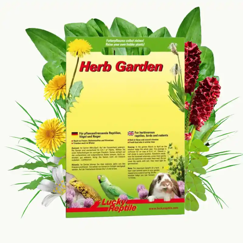 Gratis Retour Lucky Reptile Herb Garden - Wild Herb Mixture