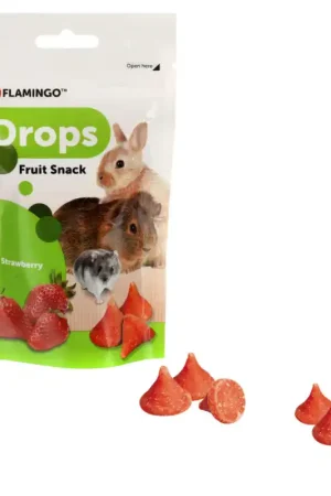 Bestel Nu Knaagdierdrops met Aardbei 75GR