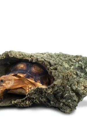 Betaalbaar Back Zoo Nature Corky Tube Large