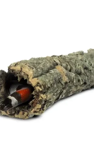 Direct Verzonden Back Zoo Nature Corky Tube Small