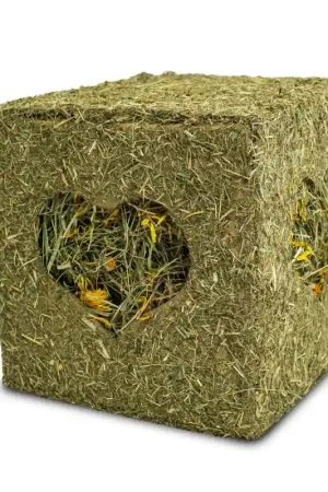 Bestel Nu JR Farm Hooiblok met Bloemen 450 gram