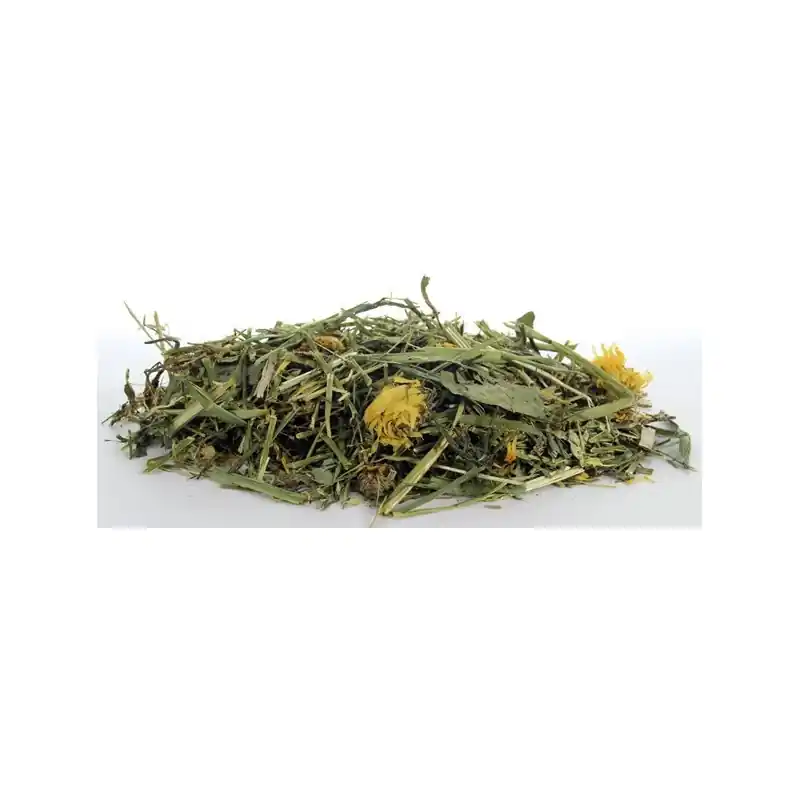 Must-Have Esve Natuur Weide Mix voor Knaagdieren & Konijnen