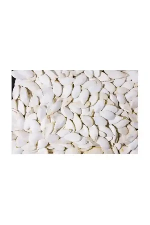 JR Farm Pure Pompoenpitten 120 Gram Gratis Retour