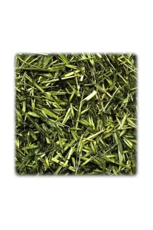 JR Farm Groene Haver 100 Gram Lage Kosten