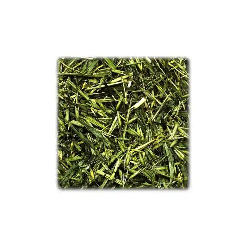 JR Farm Groene Haver 100 Gram Lage Kosten